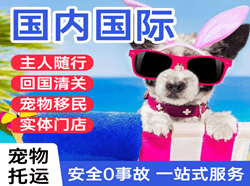 鄂尔多斯机场货运国际宠物托运 【国